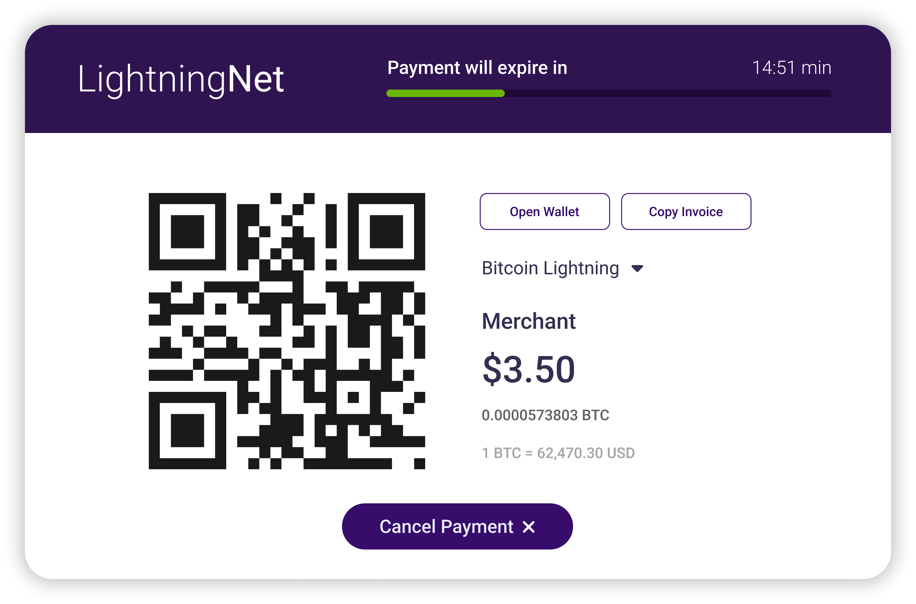 Lightning Network payment dashboard